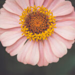 3D开奖走势图连线专业版精准分析工具 aaw83