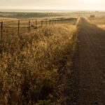 3d开奖试机号走势图专业分析与预测技巧 edb2ue9ju