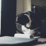 3D开奖走势图带连线专业版最新数据分析 n4c601c111