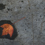 3D开奖视频直播全程高清实时开奖现场 s5t62o2sq